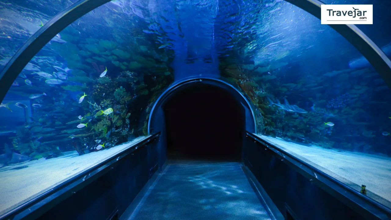 Singapore Oceanarium